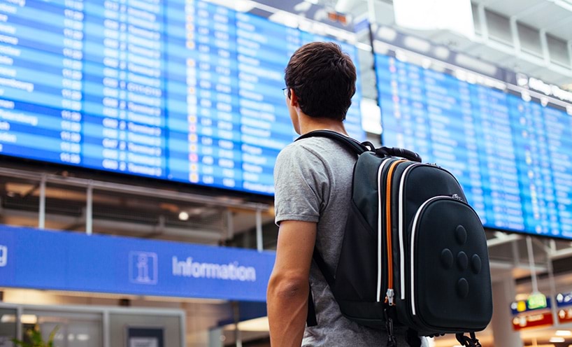 Travelling student reads flight arrivals/departures board at airport