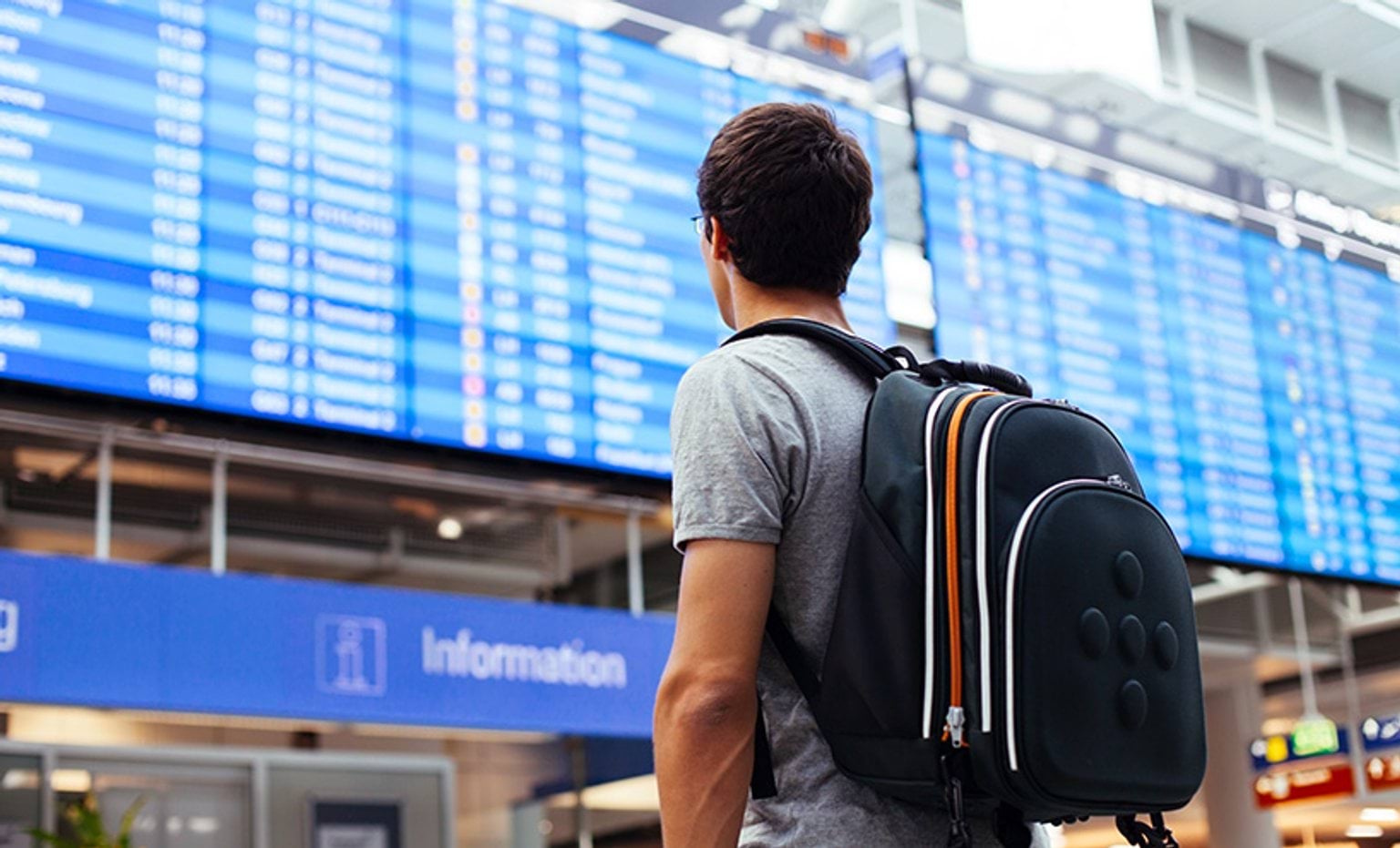 Travelling student reads flight arrivals/departures board at airport