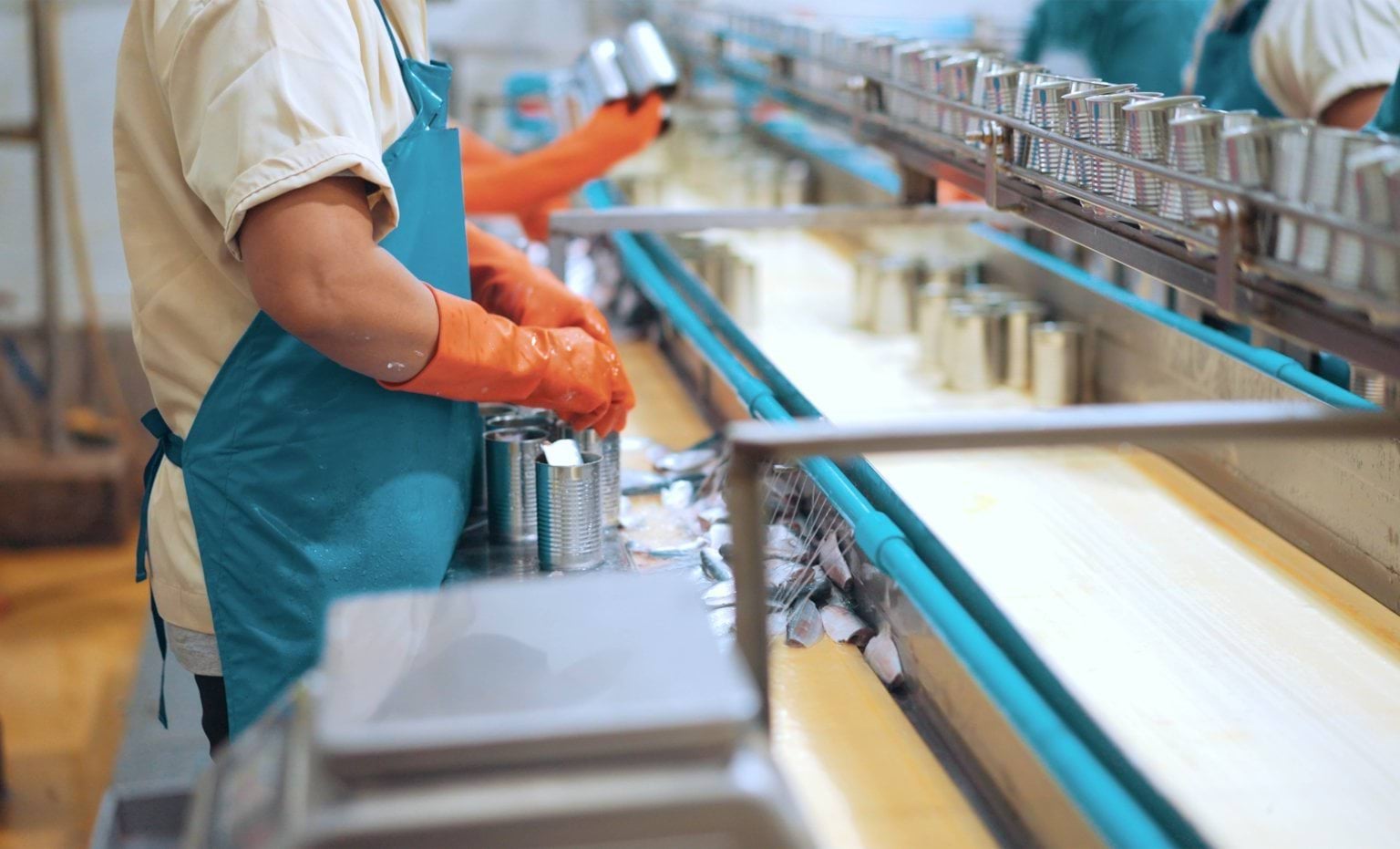 Worker in protective glove preparing fish and seafood